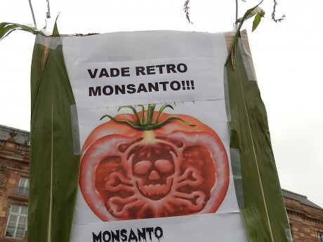 Strasbourg: Monsanto, non, notre santé, oui!