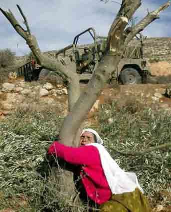 femme-palestinienne-pleurant